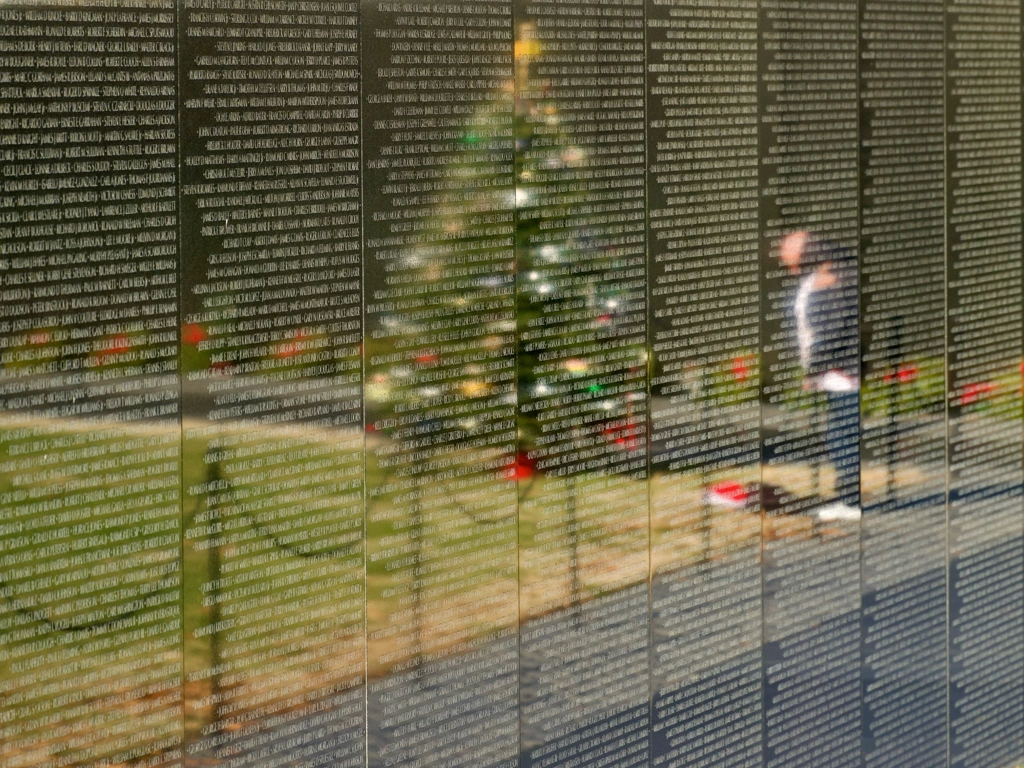 the Vietnam Memorial