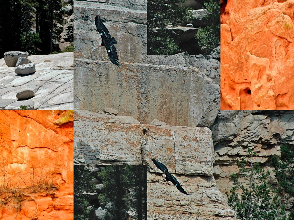 condors flying against gray and orange rocks