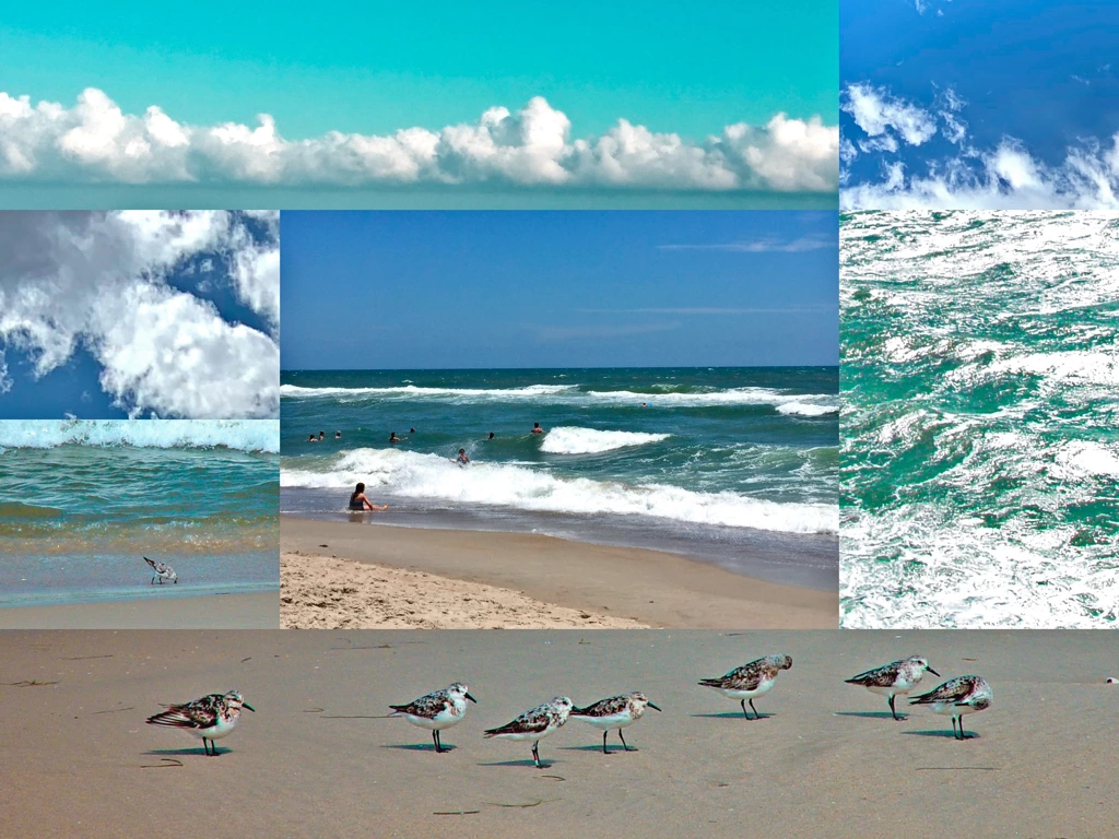 ocean waves and sand pipers